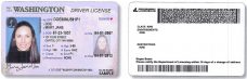 ID CARDS ,DRIVER Licence AND PASSPORT FOR USA